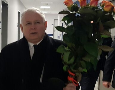 Miniatura: Jarosław Kaczyński odwiedził premier Beatę...