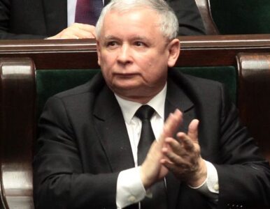 Miniatura: Kaczyński: "kaczka po smoleńsku" to wina...