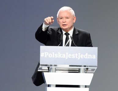Miniatura: Kaczyński: Zapadła decyzja o wycofaniu...