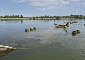 Miniatura: Niski poziom Dunaju ujawnił niezwykłe...