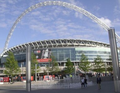 Miniatura: Puchar Anglii: kibice pobili się na Wembley