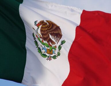 Miniatura: Poszukiwania studentów w Meksyku....