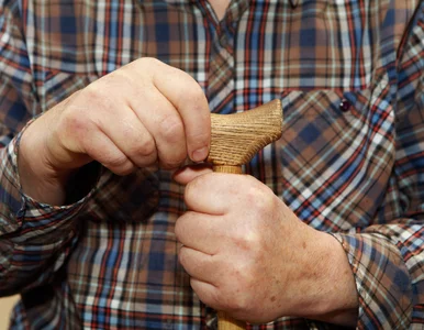 Miniatura: Wdowia emerytura. Kto może się o nią...