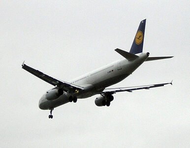 Miniatura: Lufthansa strajkuje. Pół miliona pasażerów...