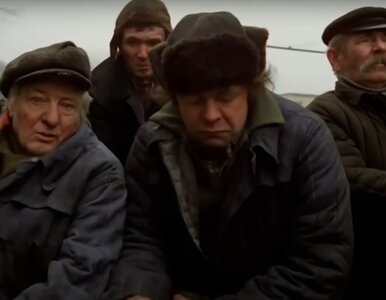 Miniatura: QUIZ. Kultowe cytaty z filmów Barei....