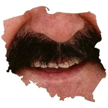 Mem po wyborach parlamentarnych 2019 