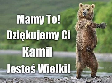 Memy po zwycięstwie Kamila Stocha 