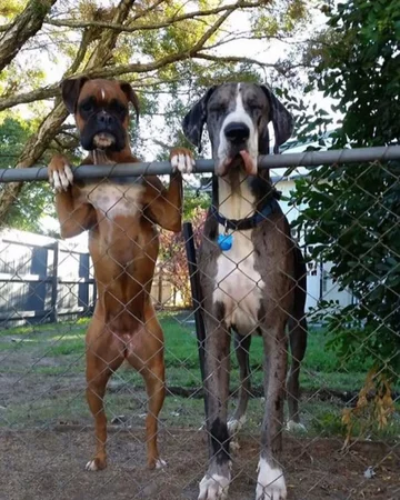 Nikt im nie podskoczy 