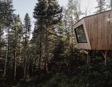 Miniatura: Drewniany domek z widokiem na las i...