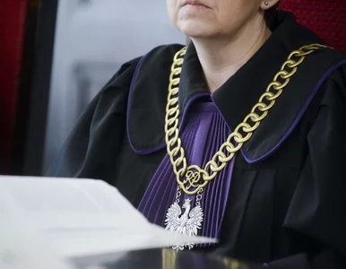 Miniatura: Sąd uwierzył komornikowi, a matka dwójki...