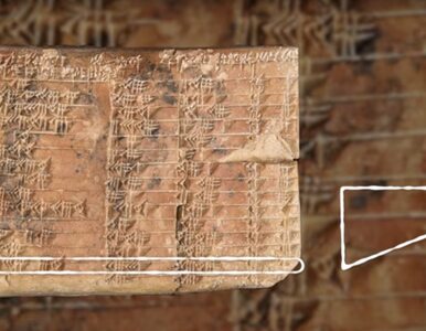Miniatura: Rozszyfrował tajemnicę sprzed 3700 lat. To...