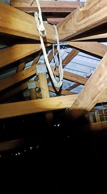 Wąż złapany przez pracowników firmy Brisbane Snake Catchers 