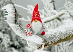 Miniatura: Szybki quiz mikołajkowy. Spróbuj zgarnąć...