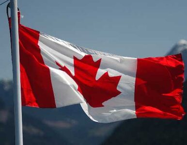 Miniatura: Oszukałeś Kanadę? Stracisz obywatelstwo