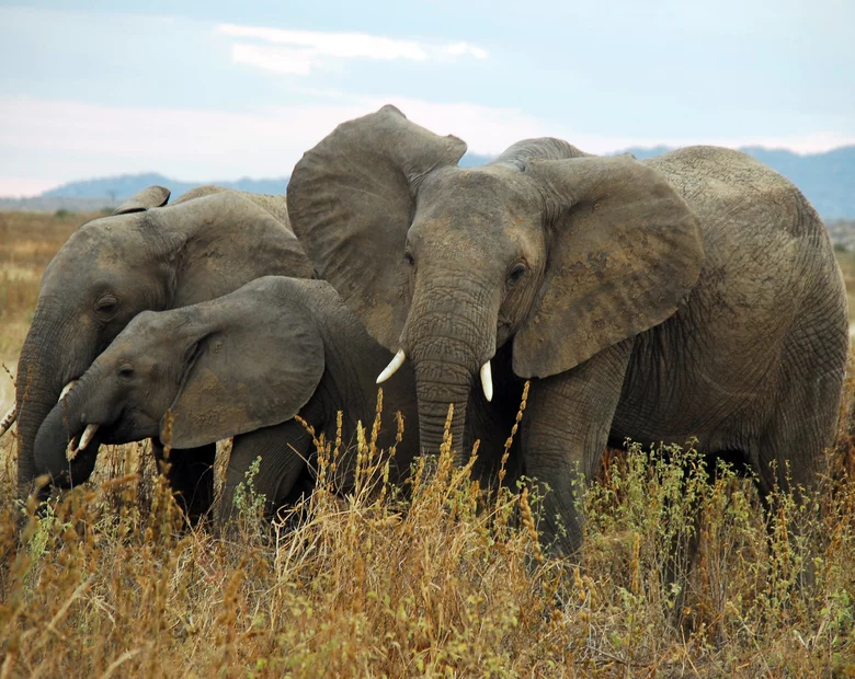 Miniatura: „National Geographic” wybrał. Te miejsca...