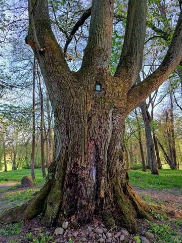 Park w Nakomiadach na Mazurach wiosną 