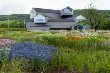 Naturalistyczny ogród Pieta Oudolfa na Vitra Campus w Weil am Rhein – przykład harmonii między dzikością a precyzyjnym projektowaniem 