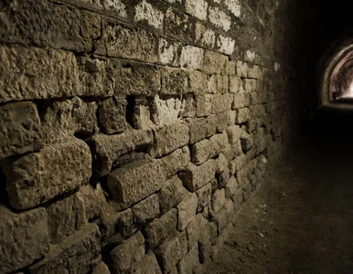 Miniatura: Ekspert wskazał lokalizację "złotego pociągu"