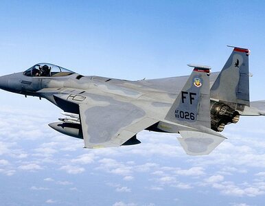 Miniatura: F-15 awaryjnie lądował w Powidzu w woj....