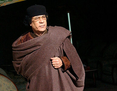 Miniatura: Kadafi apeluje do NATO o negocjacje