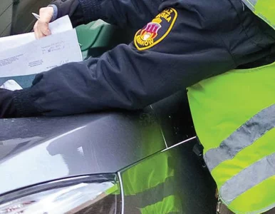 Miniatura: Policja klasy B – straż miejska