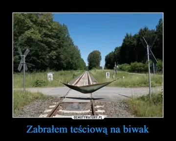 Mem z okazji Dnia Teściowej 