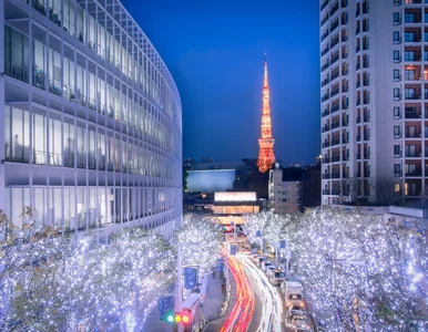 Miniatura: Kurczaki w panierce czyli święta po japońsku