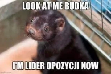 Mem komentujące polityczną walkę o ustawę futerkową 