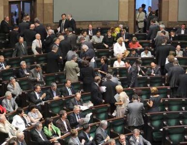 Miniatura: Sejm uchwalił budżet na 2010 r.