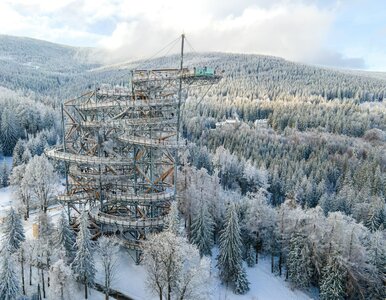 Miniatura: Gdzie Polacy pojadą na ferie? W tym...