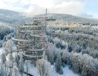 Miniatura: Gdzie Polacy pojadą na ferie? W tym...