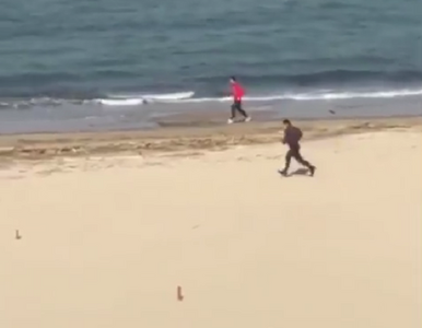 Miniatura: Mimo zakazu poszedł pobiegać na plażę....
