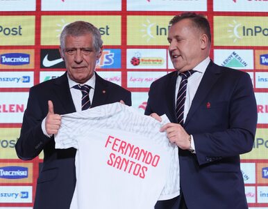 Miniatura: Gdyby Fernando Santos to zrobił, trudno...