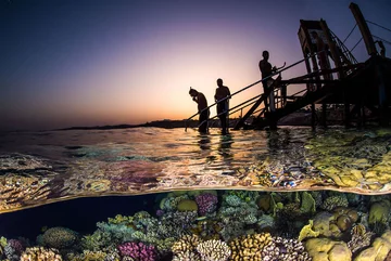 Sunset Snorkel 