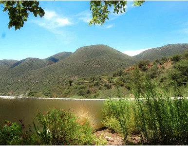 Miniatura: Kolejna zagadka, którą żyje internet....