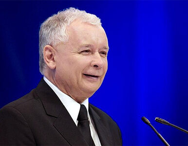 Miniatura: Kaczyński: PO unika narażania się mocnym...