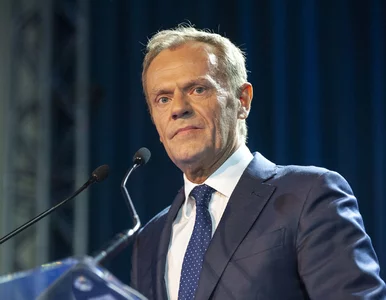 Miniatura: Co knuje Donald Tusk? Ujawniamy plan...