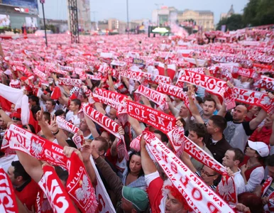 Miniatura: Co ze strefami kibica na Euro 2016?...