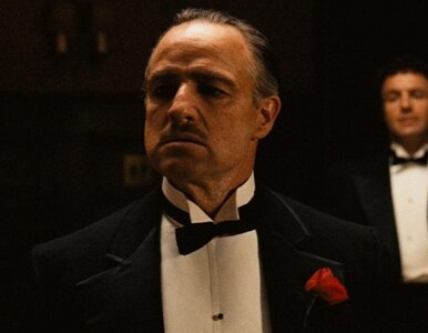 Miniatura: 13 filmów, które powinien zobaczyć każdy...