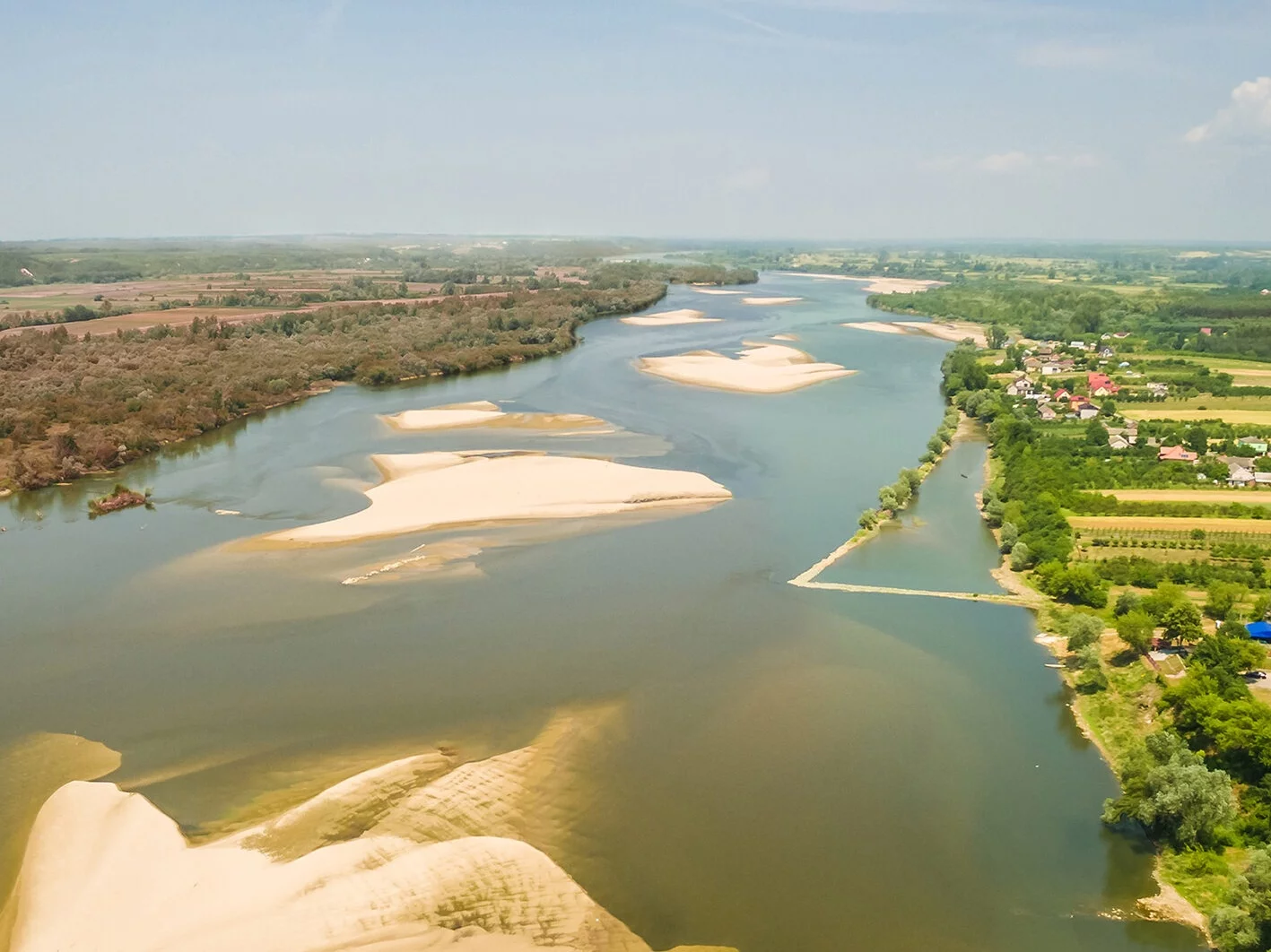 Quiz z wiedzy ogólnej. Prawda czy fałsz?