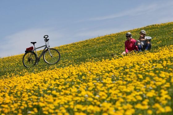 Zielone łąki usiane kwiatami są znakiem, że czas wyjąć z piwnicy rowery i udać się z przyjaciółmi na przejażdżkę po łonie natury (fot. PAP/EPA/KARL-JOSEF HILDENBRAND)