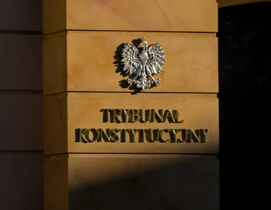 Miniatura: TK czeka kryzys finansowy? Emerytura...