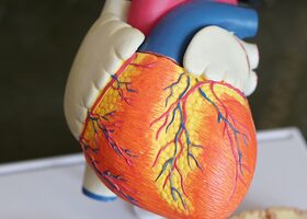 Miniatura: Co wiesz o ludzkim sercu? Trudny QUIZ