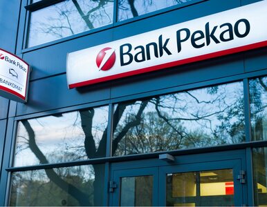 Miniatura: Bank Pekao SA rekrutuje w londyńskim City