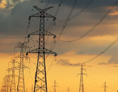 Miniatura: Transformacja zamiast dryfu. Polska...