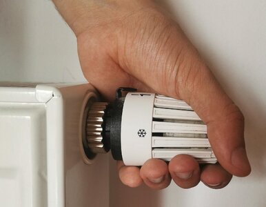 Miniatura: Najbardziej komfortowa temperatura na...