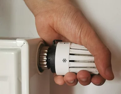 Miniatura: Najbardziej komfortowa temperatura na...
