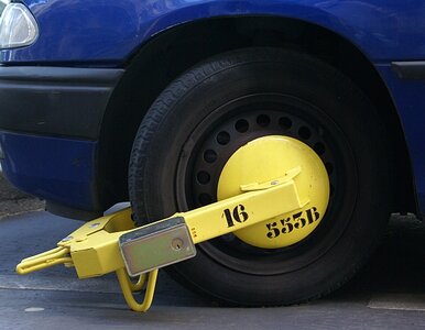 Miniatura: Zlikwidują straż miejską? Chcą referendum