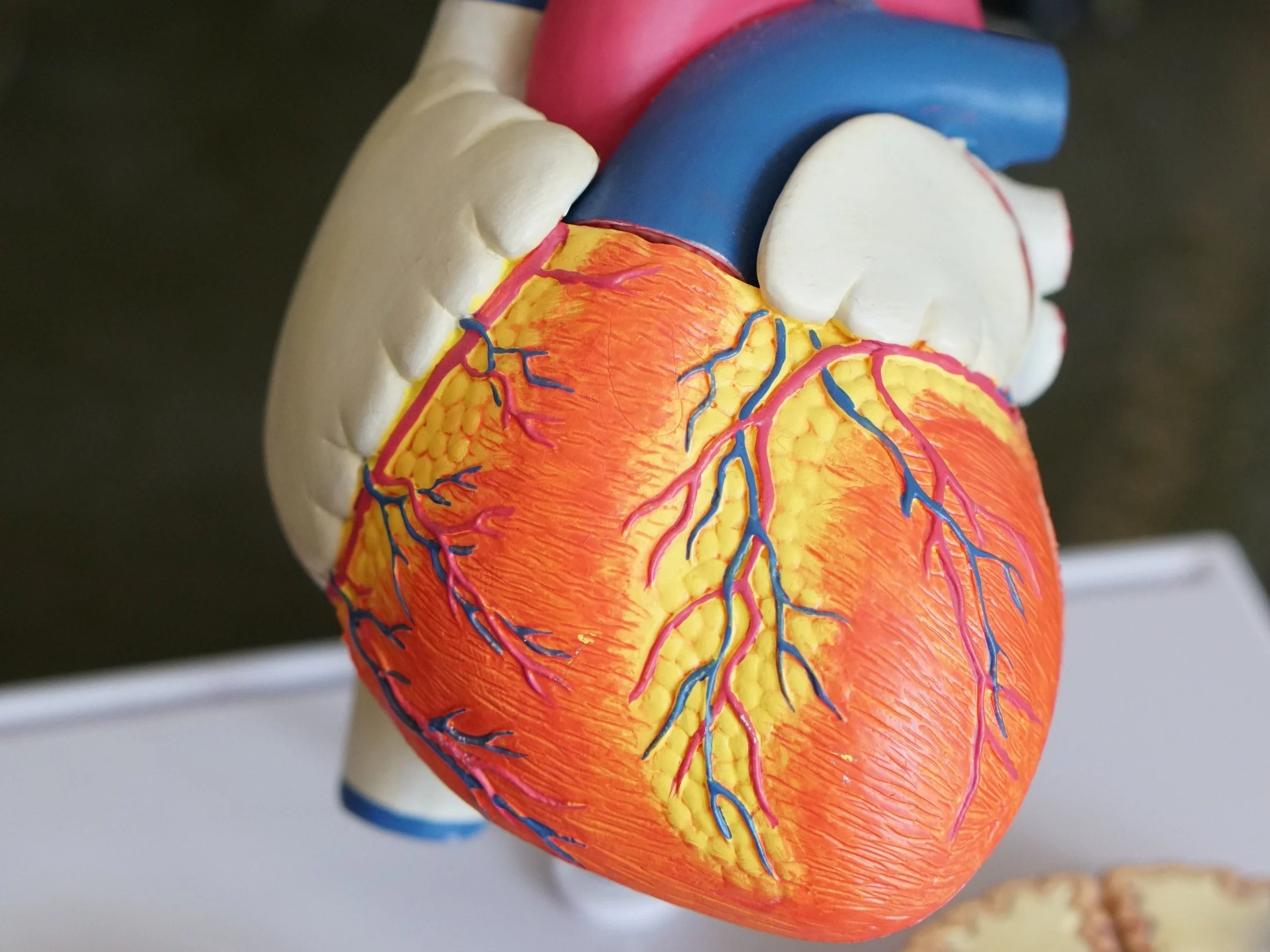 Co wiesz o ludzkim sercu? Trudny QUIZ