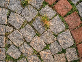 Miniatura: Zalej tym kostkę brukową. Chwasty znikną...